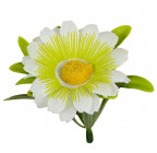 Штучні квіти букет ромашка кольорова Глазок, 29см 4048 зображення 12