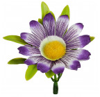 Искусственные цветы букет ромашка цветная Глазок, 29см  4048 изображение 9