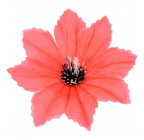 Искусственные цветы букет звездочка темный глазик, 34см  0Д-8003 изображение 3