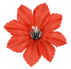 Искусственные цветы букет звездочка темный глазик, 34см  0Д-8003 изображение 8